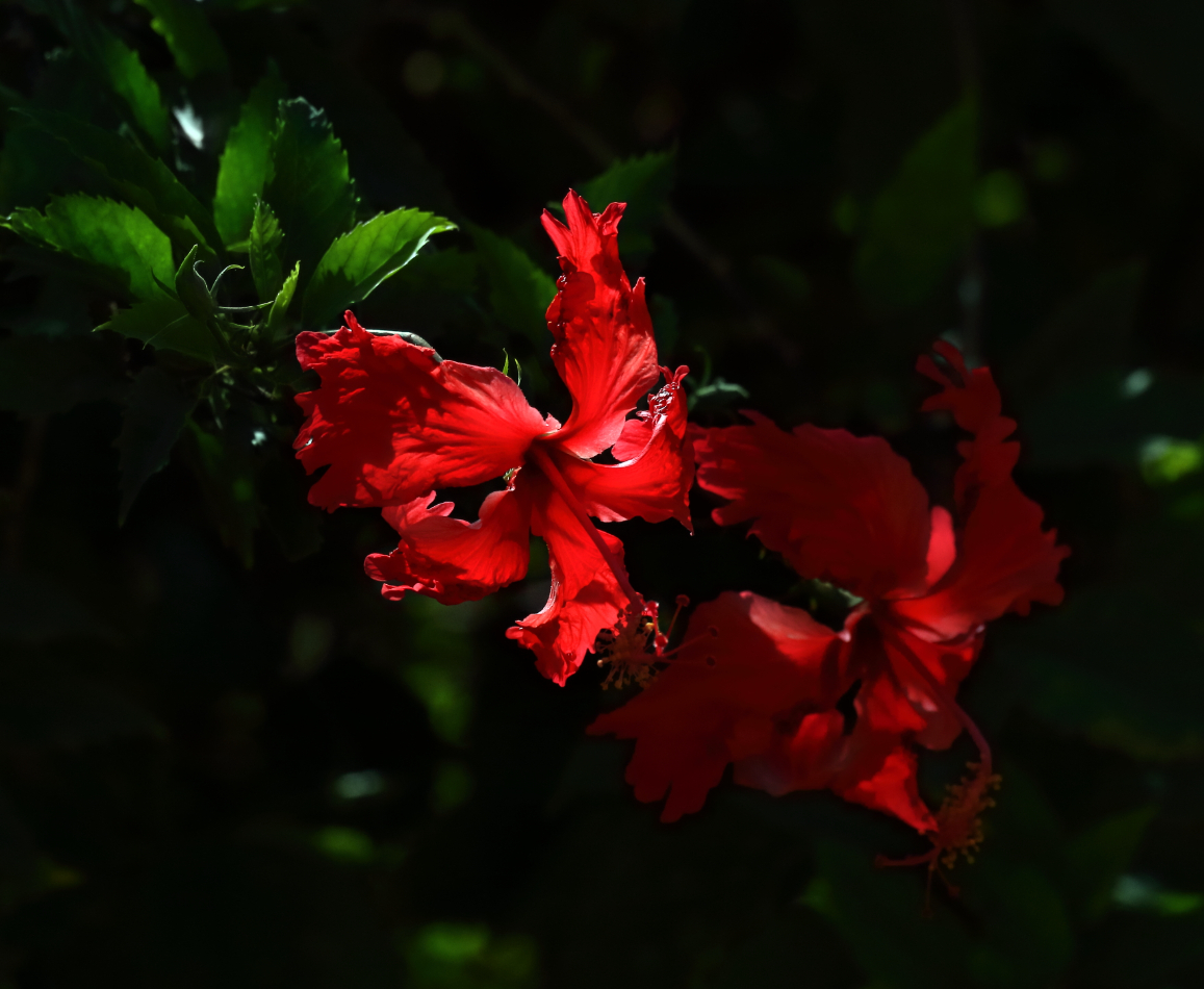 2018 09 06 HTP 02620